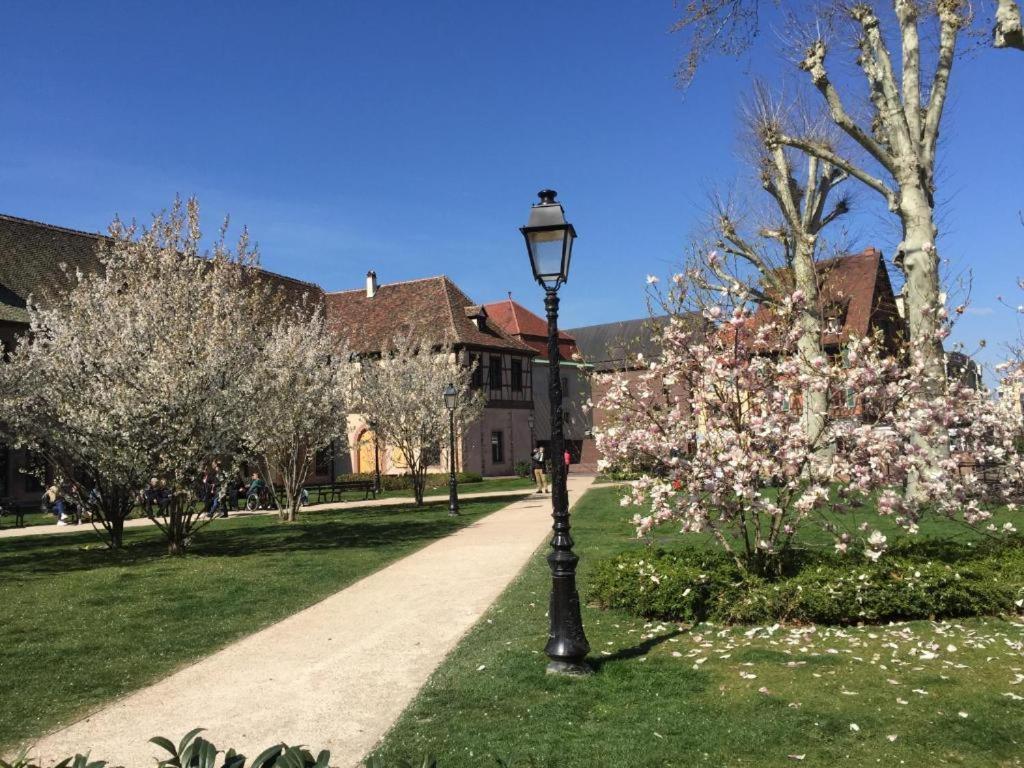 La Provence Apartment Colmar